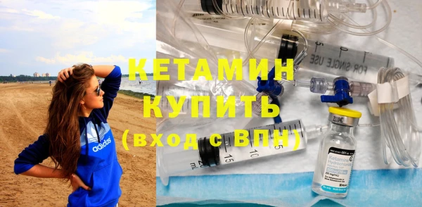 прущие грибы Долгопрудный