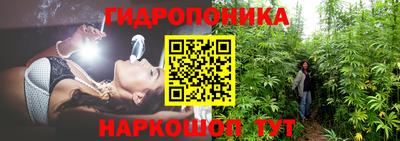 шишки Малоярославец