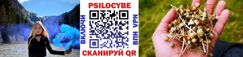 дарнет шоп  OMG зеркало  Псилоцибиновые грибы MAGIC MUSHROOMS  Серов 