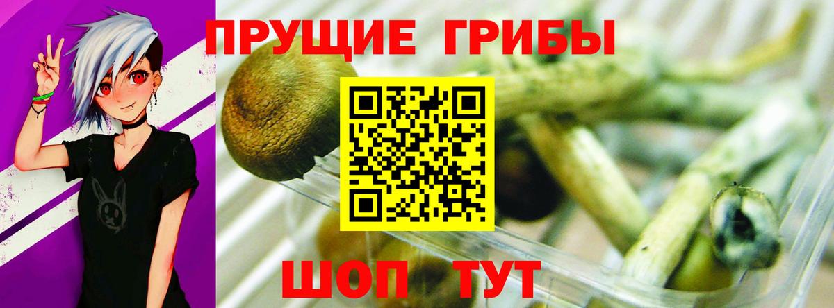 Псилоцибиновые грибы MAGIC MUSHROOMS  Вход с VPN  Серов  Псилоцибиновые грибы ЛСД 